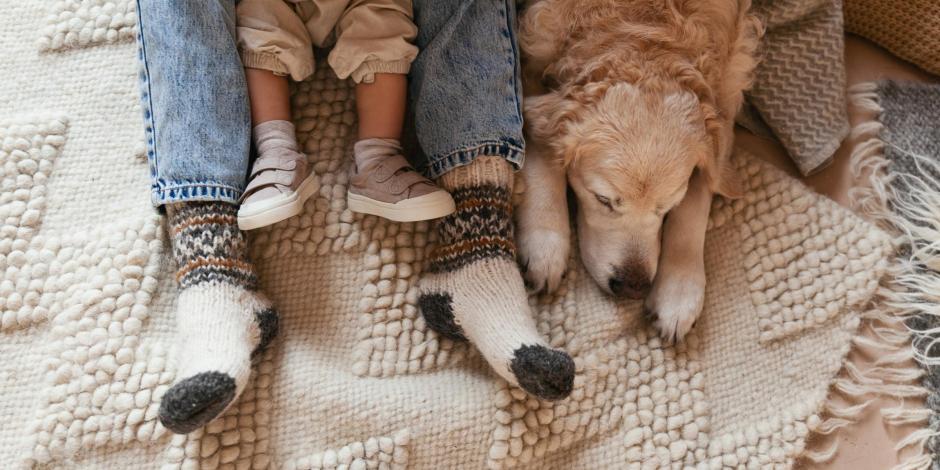 woman, child and dog laying under a blanket