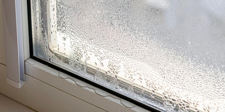 Why Is the Humidity in My House So High? blog header image