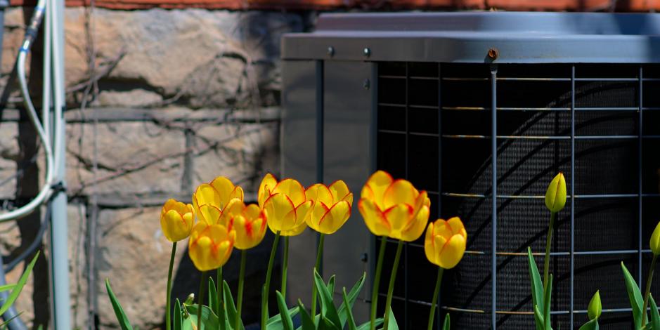 Spring flowers next to an air conditioner